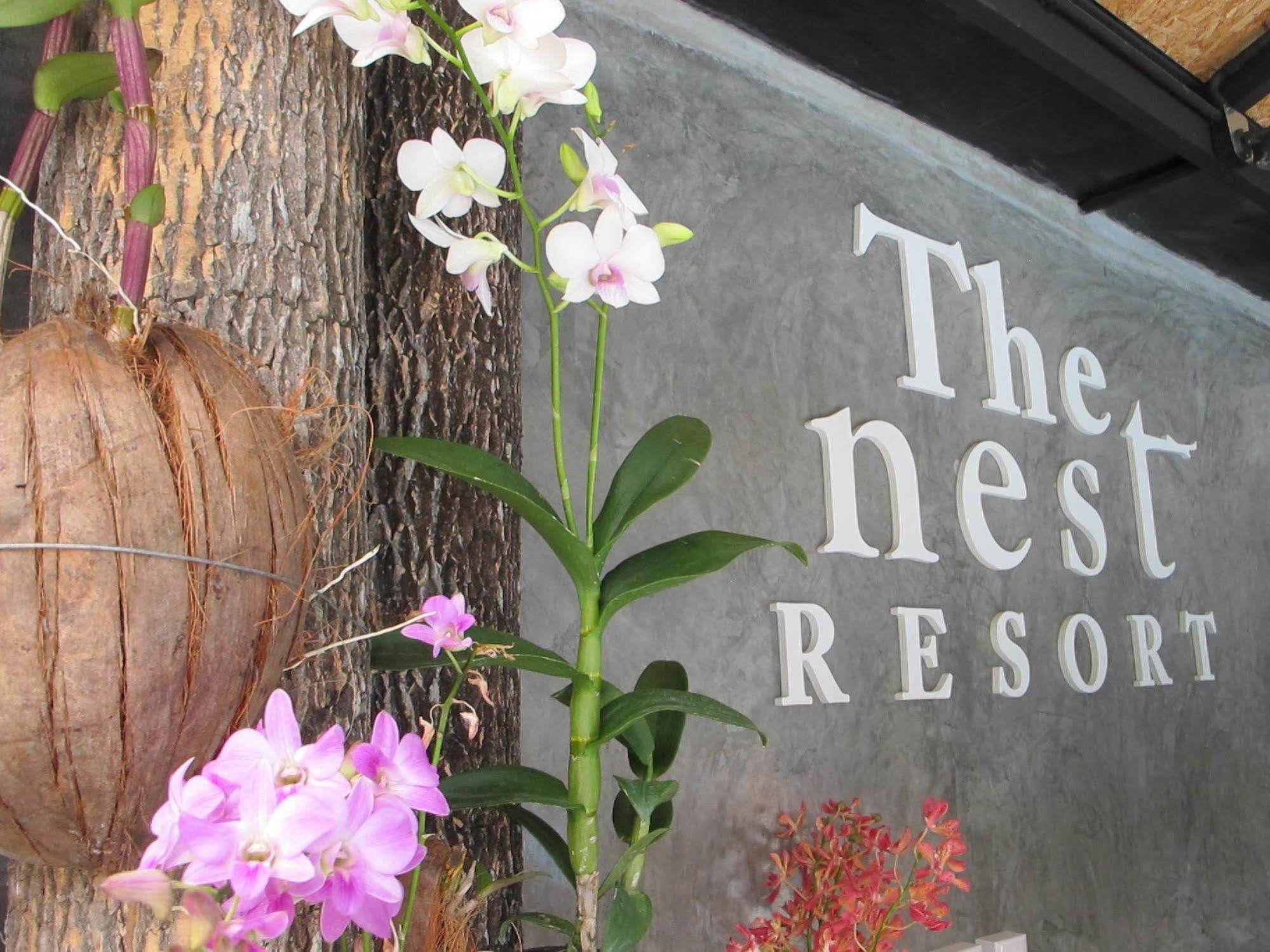 The Nest Resort Patong Kültér fotó